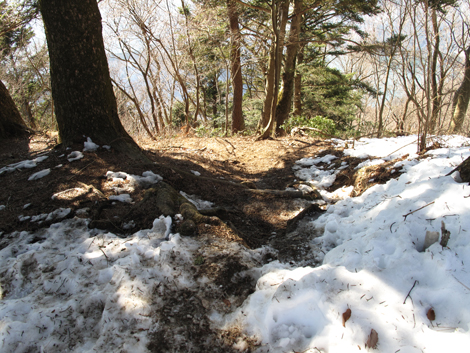 20160128hike (91)